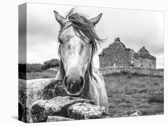 Ireland Black and White-Arabella Studios-Premier Image Canvas