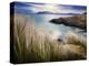 Ireland, Co.Donegal, Fanad, Ballymastoker bay and seagrass-Shaun Egan-Premier Image Canvas