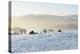 Ireland, Co.Donegal, Milford, snow covered landscape-Shaun Egan-Premier Image Canvas