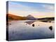 Ireland, Co.Donegal, Mount Errigal reflected in Clady river-Shaun Egan-Premier Image Canvas
