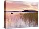Ireland, Co.Mayo, Lough Conn at sunrise-Shaun Egan-Premier Image Canvas