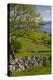 Ireland, County Galway, Cong, elevated springtime landscape-Walter Bibikow-Premier Image Canvas