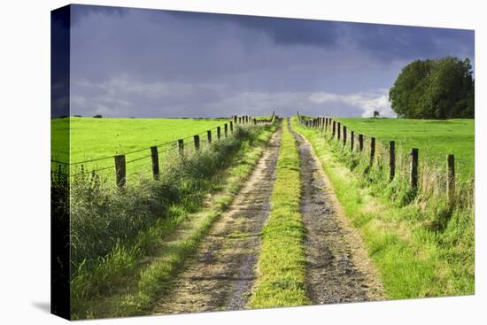 Ireland. Dirt road in County Roscommon-Jaynes Gallery-Premier Image Canvas