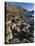 Ireland Giant's Causeway, Hexagonal Basalt Columns-null-Premier Image Canvas