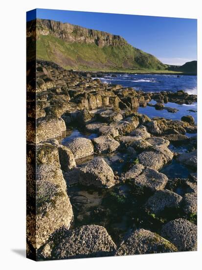 Ireland Giant's Causeway, Hexagonal Basalt Columns-null-Premier Image Canvas