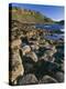 Ireland Giant's Causeway, Hexagonal Basalt Columns-null-Premier Image Canvas