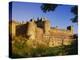 Ireland. Medieval Cahir Castle and River Suir-Jaynes Gallery-Premier Image Canvas