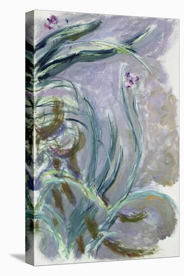 Iris, 1924-25-Claude Monet-Premier Image Canvas