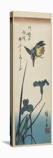Iris and Kingfisher, 1843-1847-Utagawa Hiroshige-Premier Image Canvas