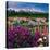Iris and Lupin Garden, Teton Range-Adam Jones-Premier Image Canvas