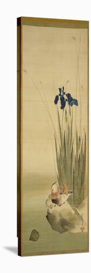 Iris and Mandarin Ducks (Ink & Colour on Silk)-Sakai Hoitsu-Premier Image Canvas
