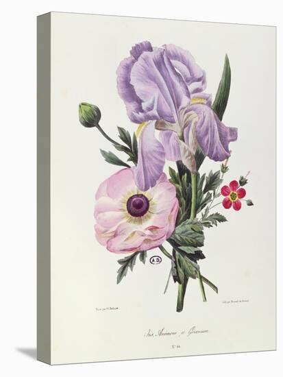 Iris, Anemone and Geranium-Pierre-Joseph Redouté-Premier Image Canvas