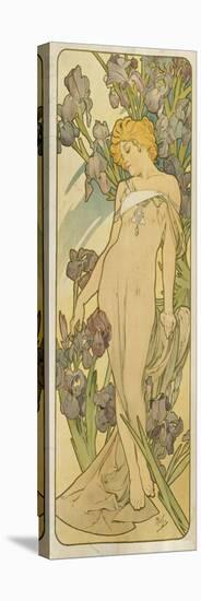 Iris, (Aus Der Serie Von Dekorationstafeln "Blumen), 1898-Alphonse Mucha-Premier Image Canvas