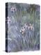 Iris, C.1914-1917-Claude Monet-Premier Image Canvas