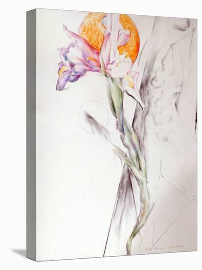 Iris - Composition II-Antonio Ciccone-Premier Image Canvas