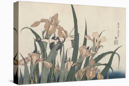 Iris et sauterelle-Katsushika Hokusai-Premier Image Canvas