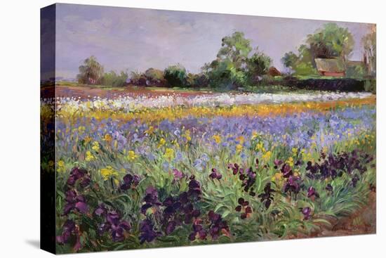 Iris Field and Two Cottages-Timothy Easton-Premier Image Canvas