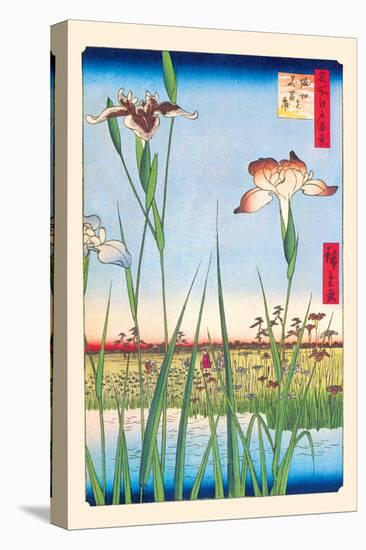 Iris Garden at Horikiri-Ando Hiroshige-Stretched Canvas