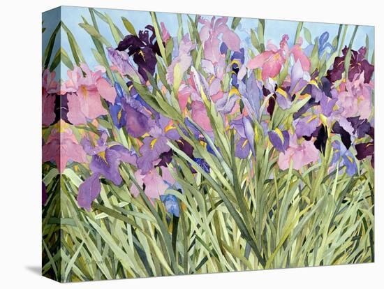 Iris Garden X-Sharon Pitts-Premier Image Canvas