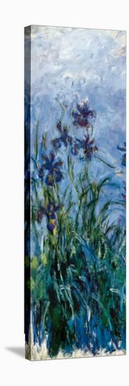 Iris Mauve (detail)-Claude Monet-Stretched Canvas