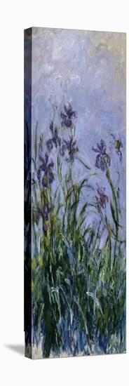 Iris Mauves, 1914-1917-Claude Monet-Premier Image Canvas