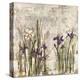 Iris Mist II-Carney-Stretched Canvas