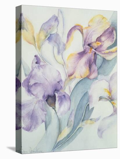 Iris Mixed, Ola Kale and Mary Todd-Karen Armitage-Premier Image Canvas