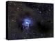 Iris Nebula-Stocktrek Images-Premier Image Canvas