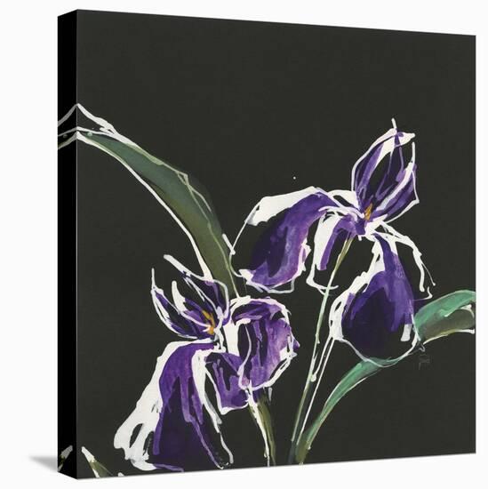 Iris on Black I-Chris Paschke-Stretched Canvas