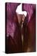 Iris Shrine Purple, 2011-Julia McLemore-Premier Image Canvas