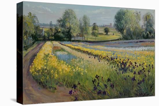 Iris Slope, 1991-Timothy Easton-Premier Image Canvas