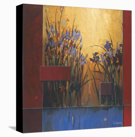 Iris Sunrise-Don Li-Leger-Stretched Canvas