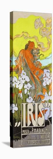 Iris-Adolfo Hohenstein-Premier Image Canvas