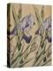 Iris-Koloman Moser-Premier Image Canvas