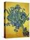 Iris-Vincent van Gogh-Premier Image Canvas