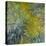 Iris-Claude Monet-Premier Image Canvas
