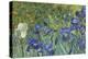 Irises, 1889-Vincent van Gogh-Premier Image Canvas