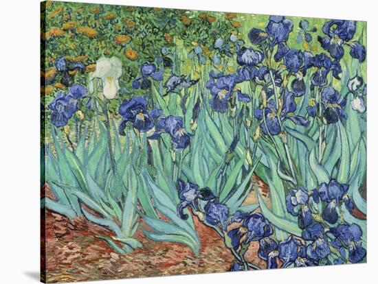 Irises, 1889-Vincent van Gogh-Premier Image Canvas