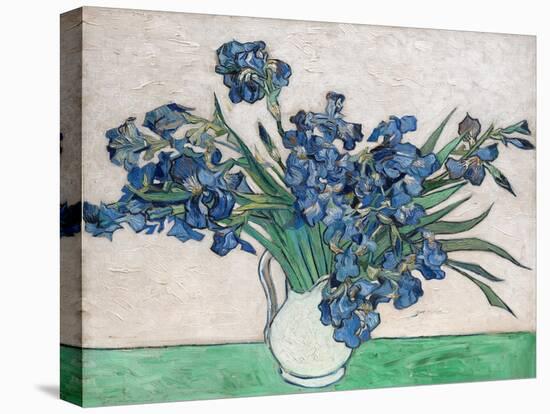 Irises, 1890 (White Vase)-Vincent van Gogh-Stretched Canvas