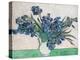 Irises, 1890 (White Vase)-Vincent van Gogh-Stretched Canvas