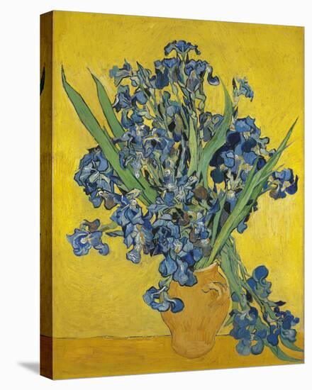 Irises, 1890-Vincent Van Gogh-Stretched Canvas