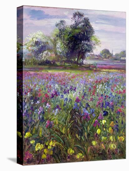 Irises and Distant May Tree, 1993-Timothy Easton-Premier Image Canvas