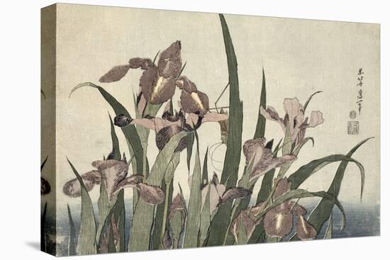 Irises and Grasshopper, Pub. by Nishimura Eijudo, C.1832-Katsushika Hokusai-Premier Image Canvas
