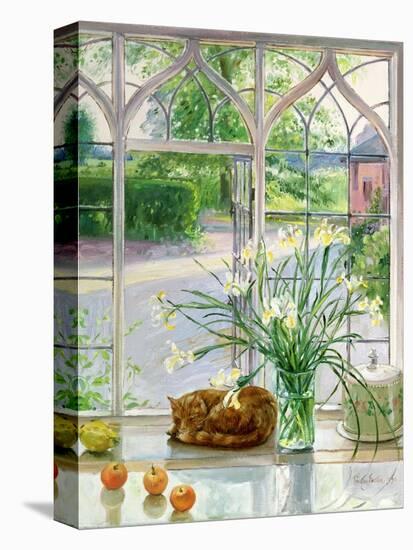 Irises and Sleeping Cat, 1990-Timothy Easton-Premier Image Canvas