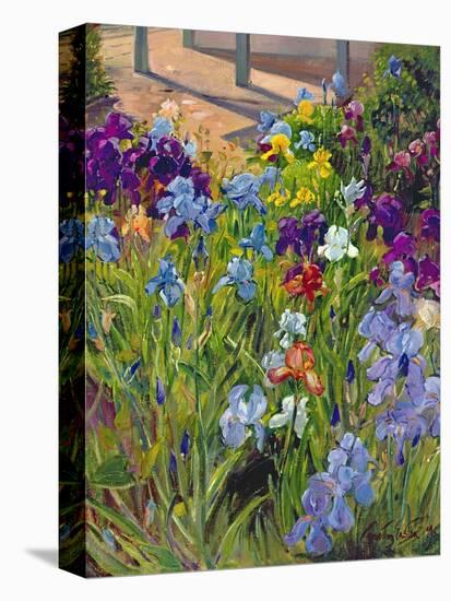 Irises and Summer House Shadows, 1996-Timothy Easton-Premier Image Canvas