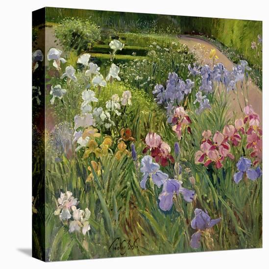 Irises at Bedfield-Timothy Easton-Premier Image Canvas
