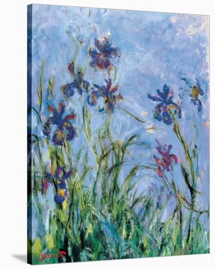 Irises (detail)-Claude Monet-Stretched Canvas