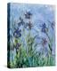 Irises (detail)-Claude Monet-Stretched Canvas