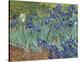 Irises in the Garden-Vincent van Gogh-Stretched Canvas