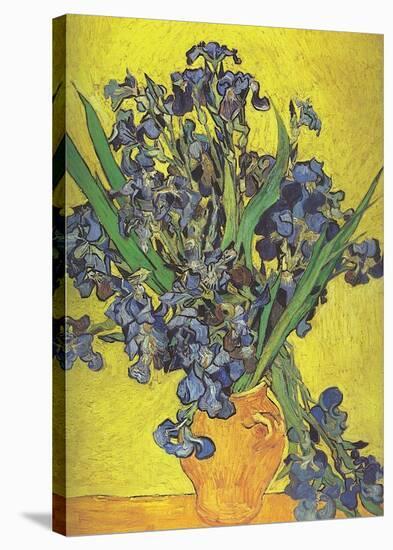 Irises in Vase-Vincent van Gogh-Stretched Canvas